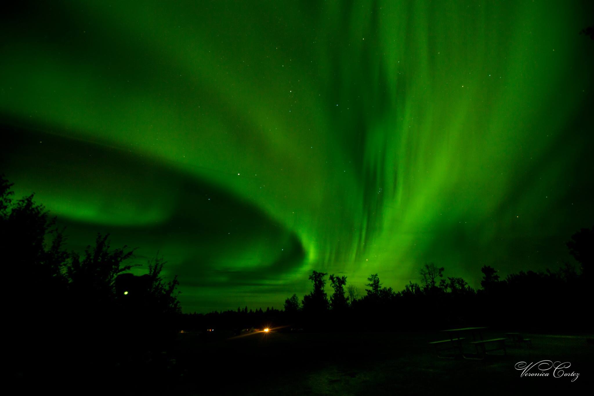 11930970_10153159819313196_9159958144961064174_o - Veronica Cortez.jpg