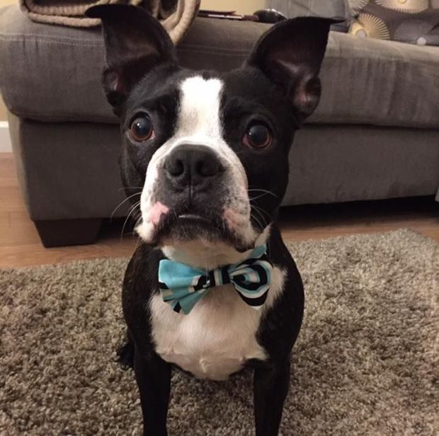 ruperttt - Laura Fader.jpg