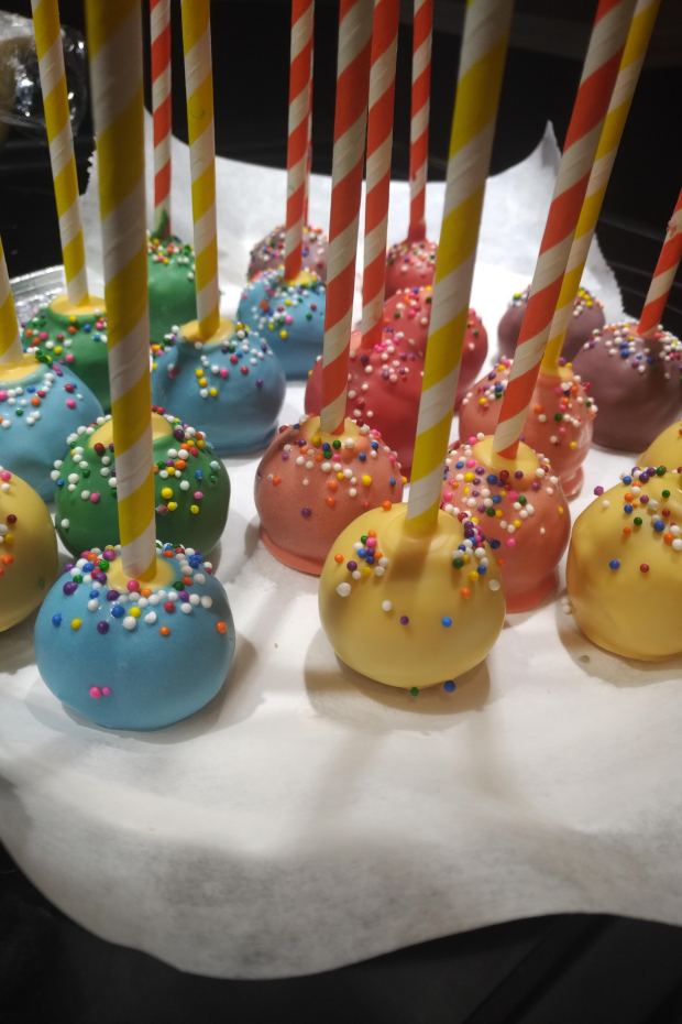 IMG_20190105_0216215 - Hasna Lessard